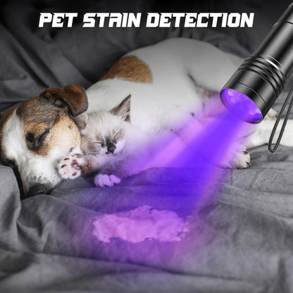 🔦💜 Lampe UV 365nm Portative – LOT DE 3 – Détection Professionnelle des Pesticides, Taches, Agents Fluorescents & Urine Animale 🐶🐱🥬🦂💵💎 🎁 1 article = 3 pièces ➜ tu achètes 1, tu reçois 3 lampes UV (2 offertes)