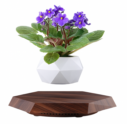 LéviPlante — Pot de fleurs lévitant 360° (anti-gravité), base magnétique prestige 🌿