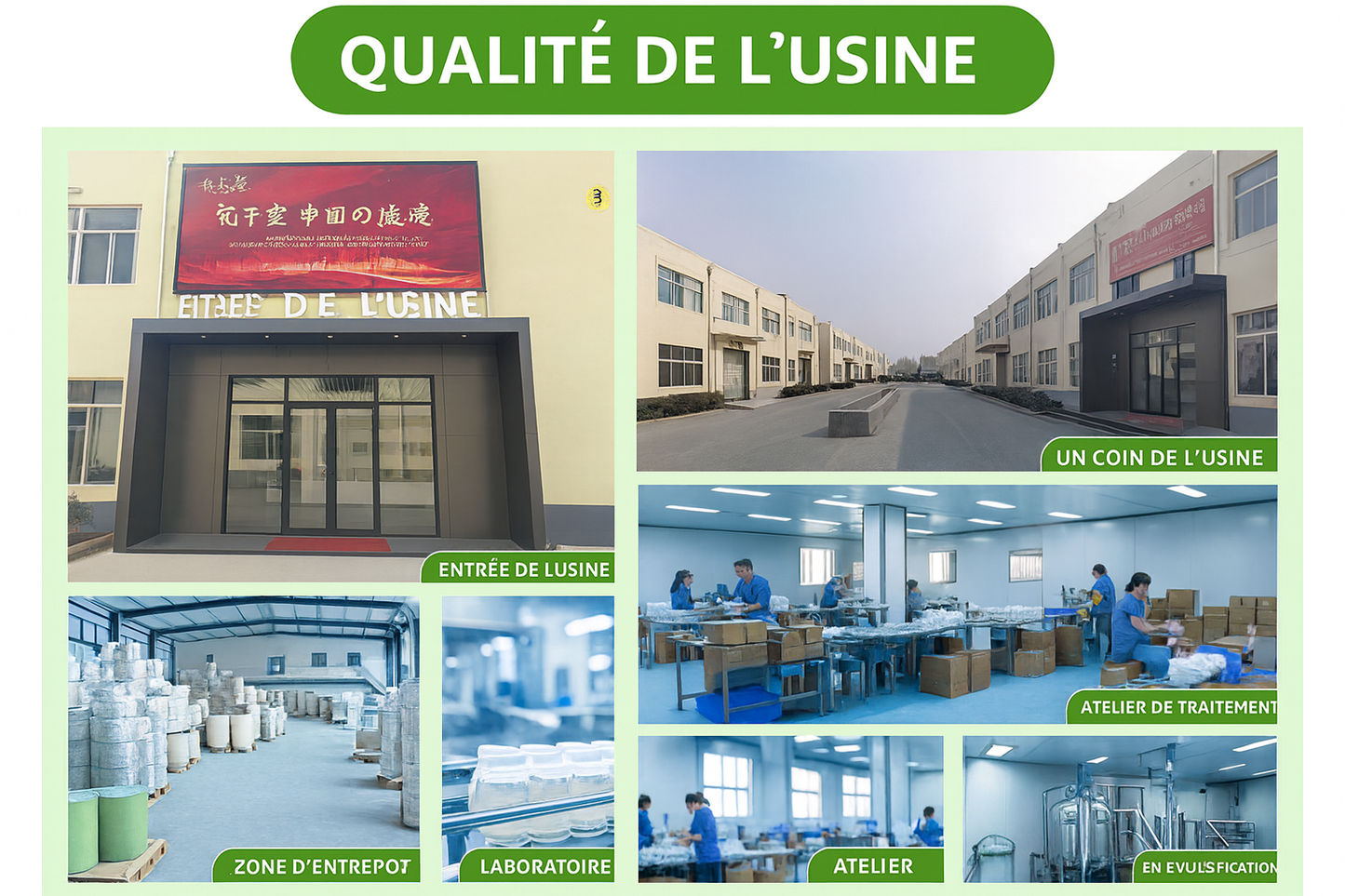 Lot de 3 Pommades pour psoriasis— Pommade naturelle à base de plantes, confort des peaux sujettes au psoriasis 🌿