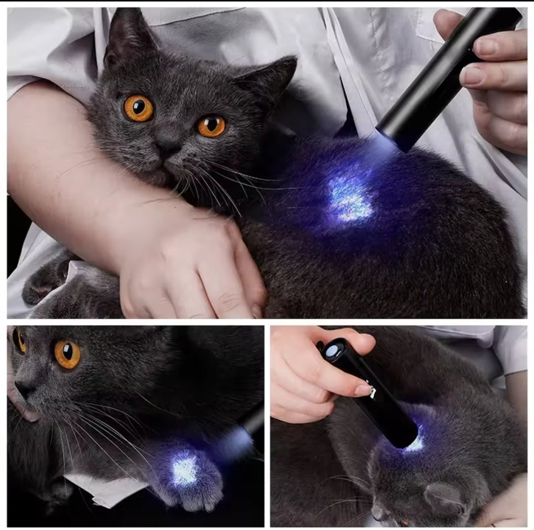 🔦💜 Lampe UV 365nm Portative – LOT DE 3 – Détection Professionnelle des Pesticides, Taches, Agents Fluorescents & Urine Animale 🐶🐱🥬🦂💵💎 🎁 1 article = 3 pièces ➜ tu achètes 1, tu reçois 3 lampes UV (2 offertes)