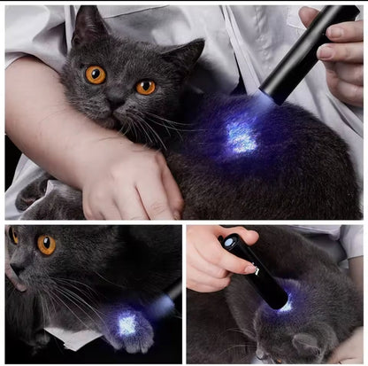 🔦💜 Lampe UV 365nm Portative – LOT DE 3 – Détection Professionnelle des Pesticides, Taches, Agents Fluorescents & Urine Animale 🐶🐱🥬🦂💵💎 🎁 1 article = 3 pièces ➜ tu achètes 1, tu reçois 3 lampes UV (2 offertes)