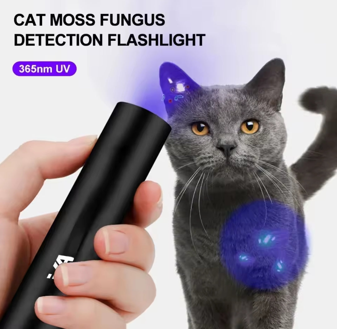 🔦💜 Lampe UV 365nm Portative – LOT DE 3 – Détection Professionnelle des Pesticides, Taches, Agents Fluorescents & Urine Animale 🐶🐱🥬🦂💵💎 🎁 1 article = 3 pièces ➜ tu achètes 1, tu reçois 3 lampes UV (2 offertes)