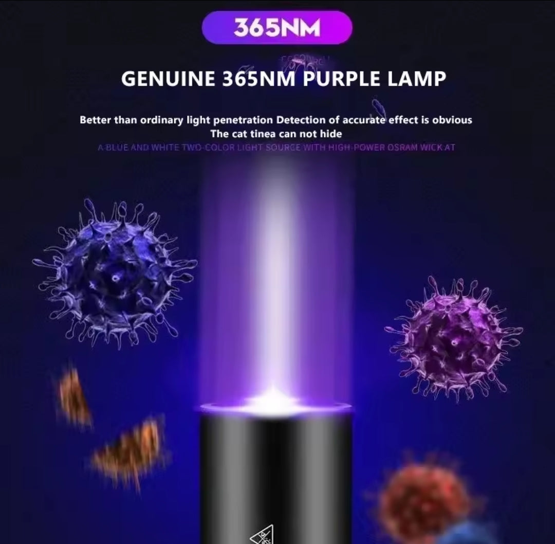 🔦💜 Lampe UV 365nm Portative – LOT DE 3 – Détection Professionnelle des Pesticides, Taches, Agents Fluorescents & Urine Animale 🐶🐱🥬🦂💵💎 🎁 1 article = 3 pièces ➜ tu achètes 1, tu reçois 3 lampes UV (2 offertes)