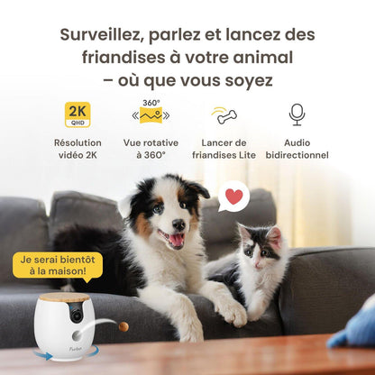 🐶🐱📹 Caméra Intelligente 360° pour Animaux – Surveillance 2K QHD, Suivi Automatique & Interaction à Distance 🦴💬✨
